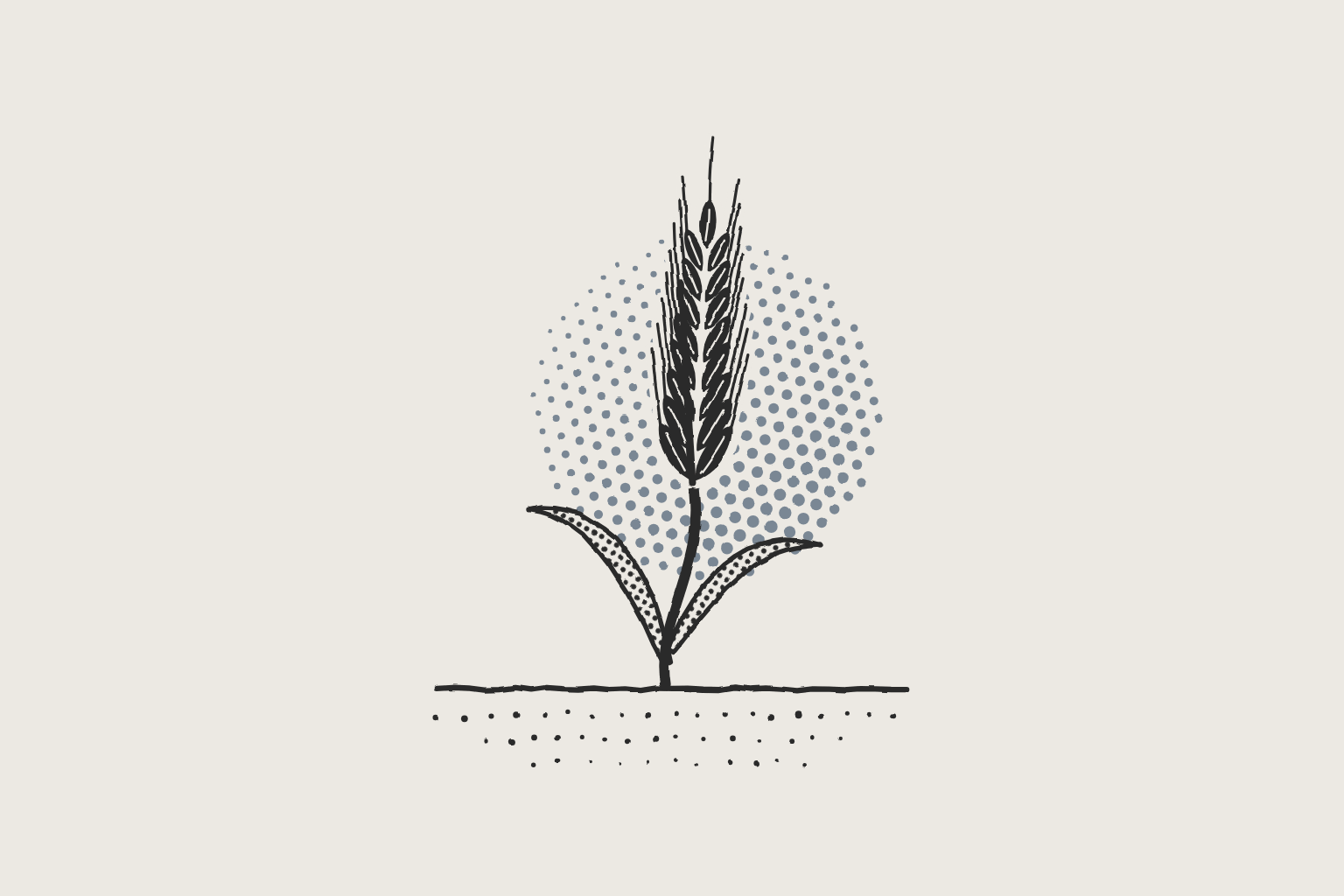 Illustration in a hand-printed ink style in charcoal ink on stone with a slate spot.